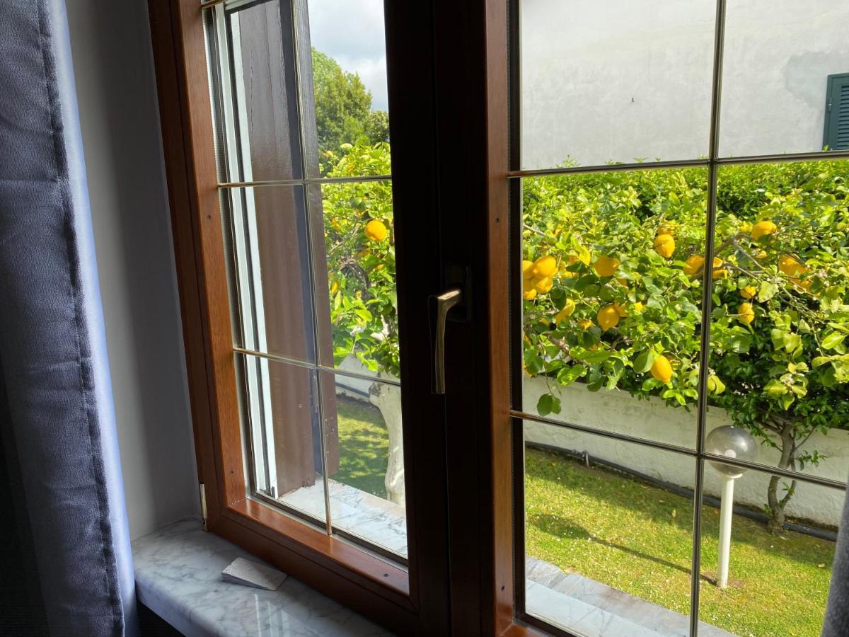Villa Cecilia Bed And Breakfast Cellole Экстерьер фото