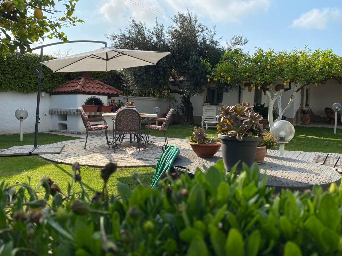 Villa Cecilia Bed And Breakfast Cellole Экстерьер фото